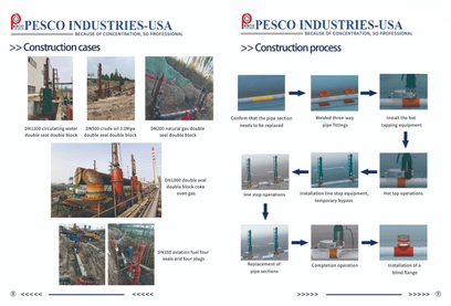 Construction Process and Cases.jpg